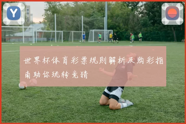世界杯体育彩票规则解析及购彩指南助你玩转竞猜