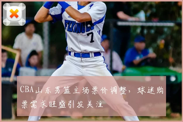 CBA山东男篮主场票价调整,球迷购票需求旺盛引发关注