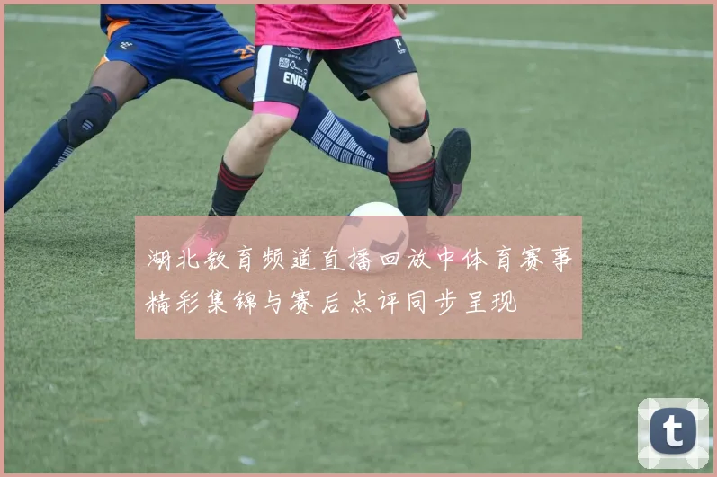 湖北教育频道直播回放中体育赛事精彩集锦与赛后点评同步呈现