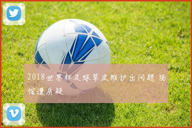 2018世界杯足球草皮维护出问题 场馆遭质疑